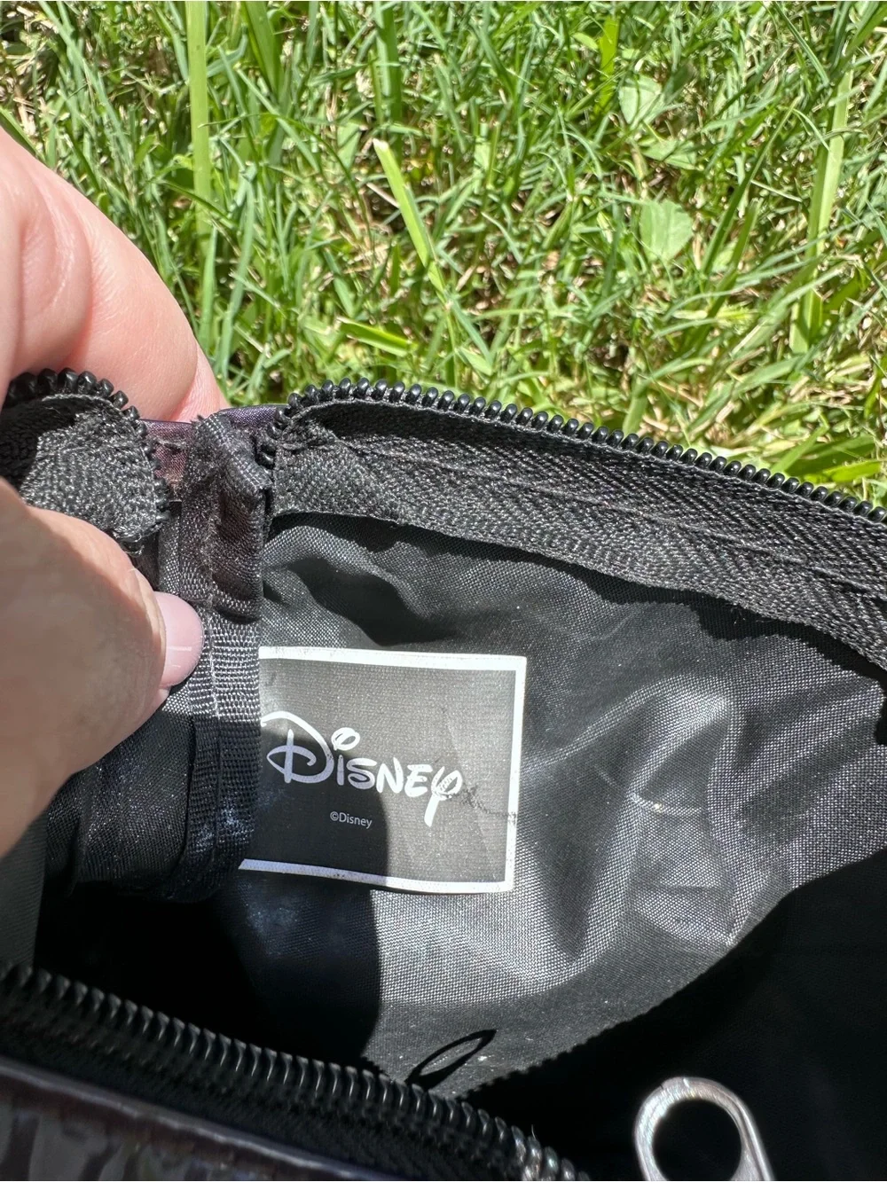 Disney Black Interior Zipper Pouch
